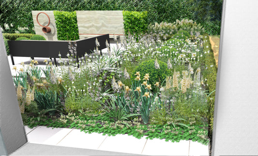 SketchUp Pro: A Garden Designer's Best Friend