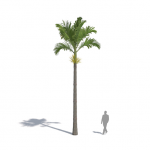 Plants Kit 07 | Tropical Palms [Perpetual]