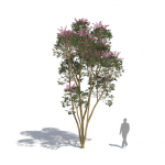 Plants Kit 03 | Tropical Broadleaf Trees [Perpetual]