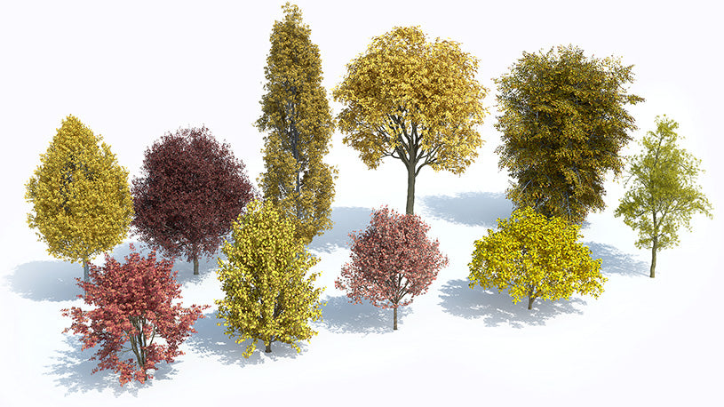 Plants Kit 06 | Temperate Deciduous Trees [Perpetual]