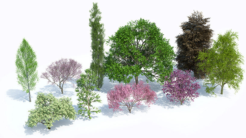 Plants Kit 06 | Temperate Deciduous Trees [Perpetual]