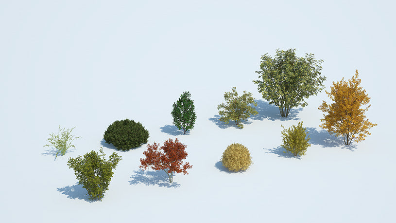 Plants Kit 08 | Temperate Shrubs [Perpetual]