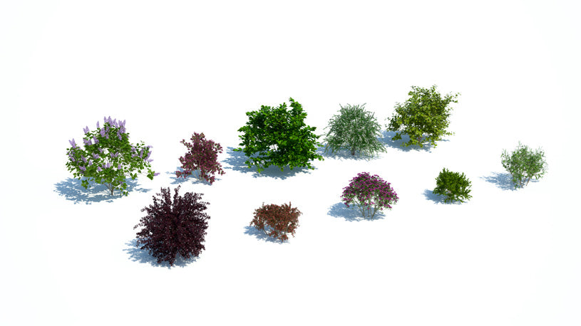 Plants Kit 09 | Temperate Shrubs [Perpetual]