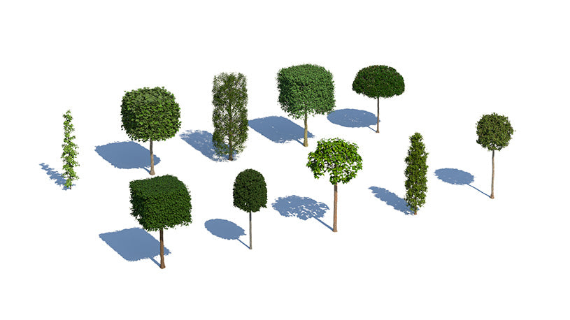 Plants Kit 16 | Temperate Topiary Trees [Perpetual]