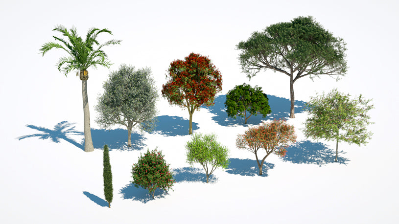 Plants Kit 04 | Subtropical Trees [Perpetual]